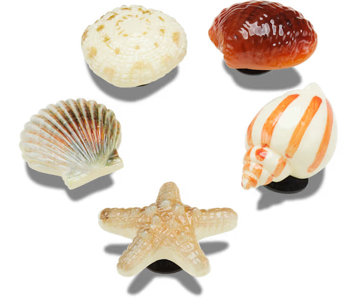 She Sells Seashells 5 Pack