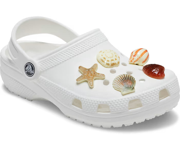 She Sells Seashells 5 Pack