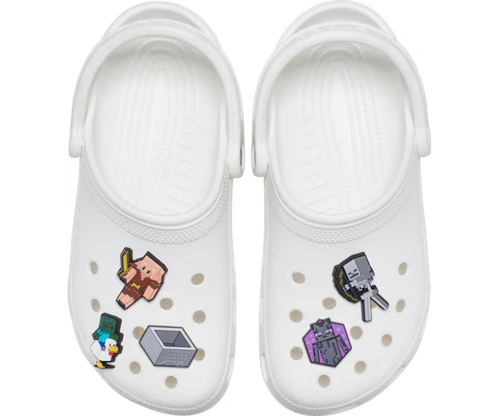 Minecraft 5 Pack