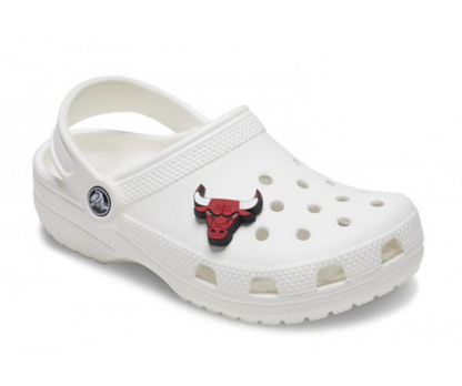 NBA CHICAGO BULLS