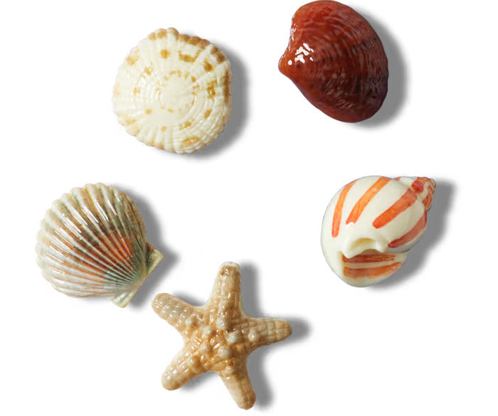 She Sells Seashells 5 Pack