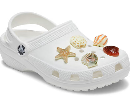 She Sells Seashells 5 Pack